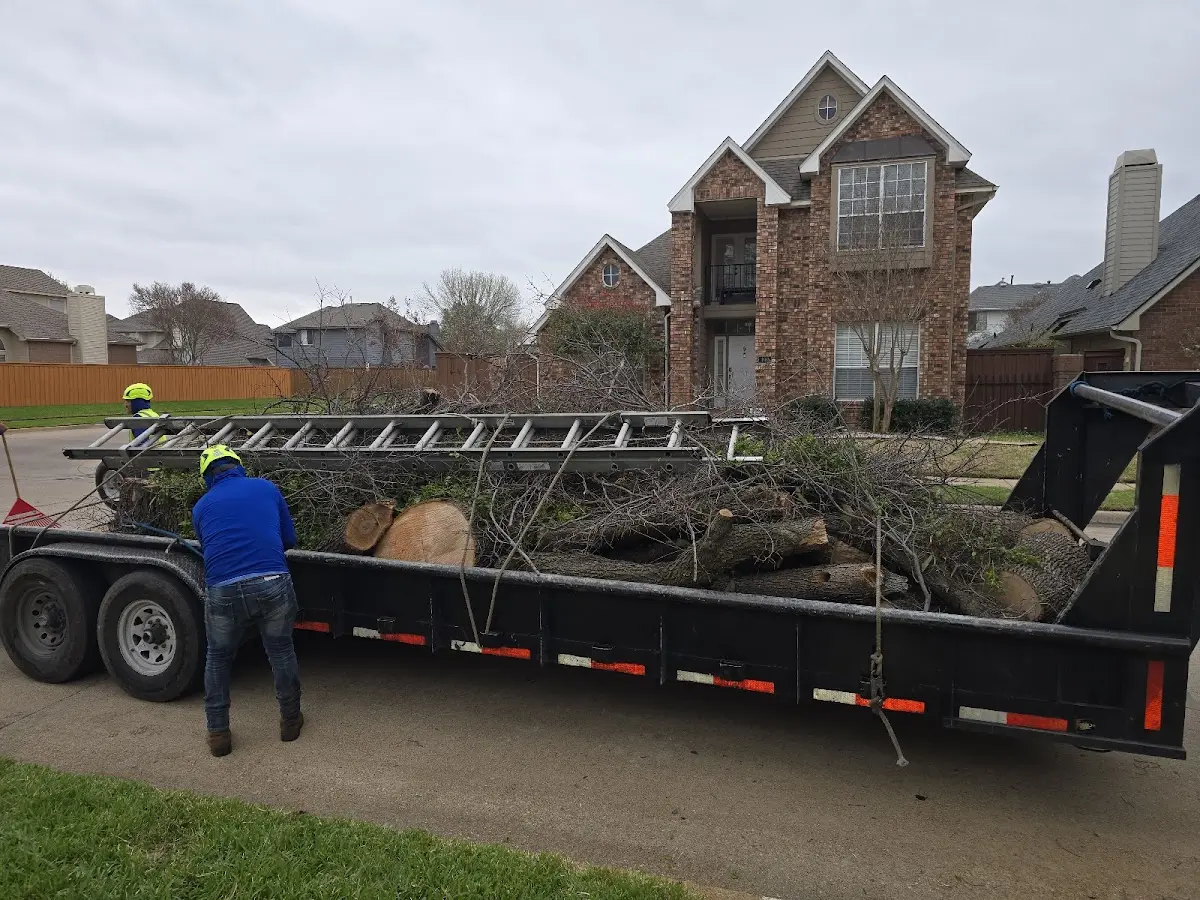 Expert Tree Fertilization with proper safety equipment in Spring Lake